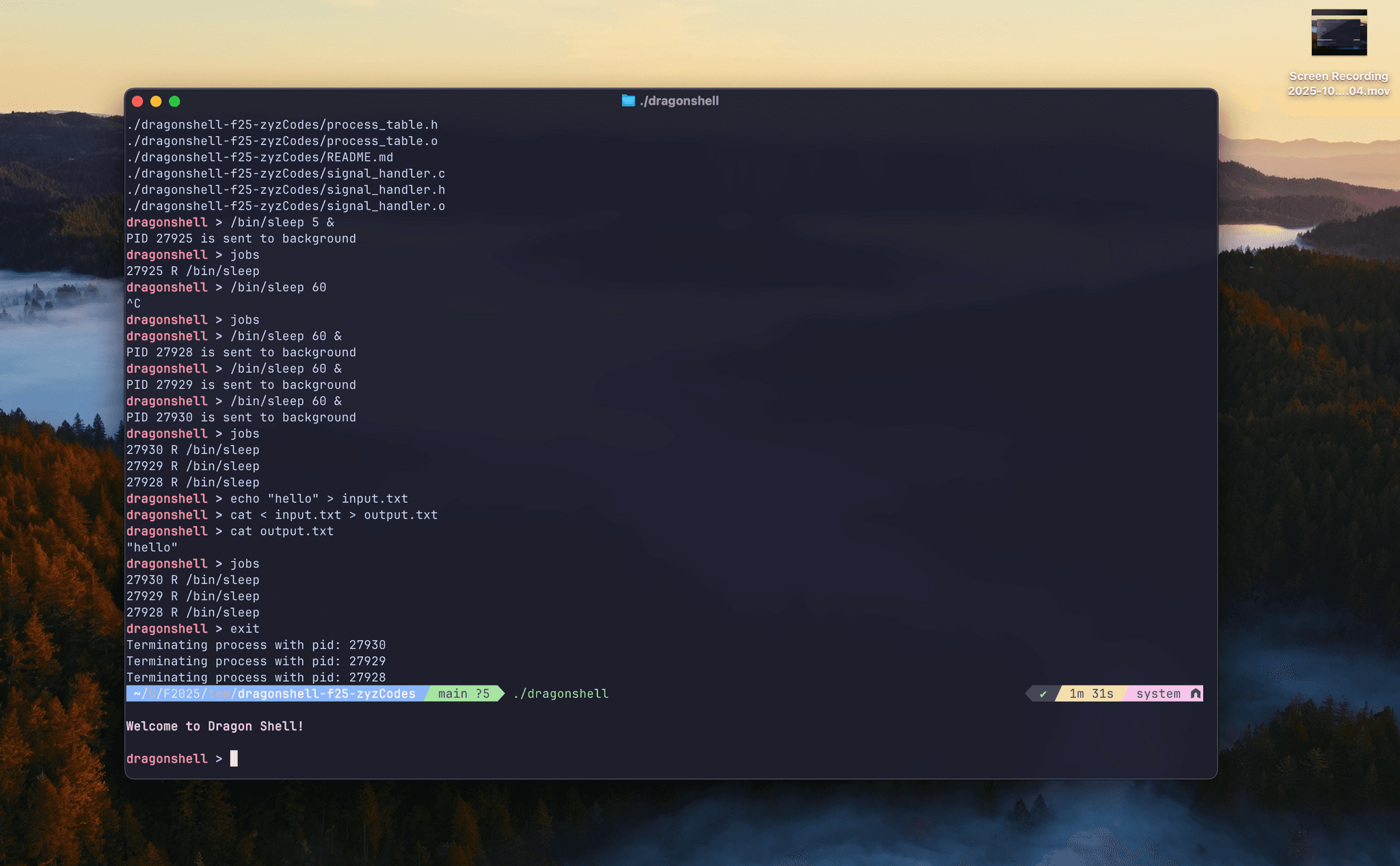 DragonShell screenshot